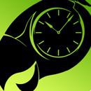 Green Game TimeSwapper