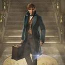 Fantastic Beasts: Cases From the Wizarding World