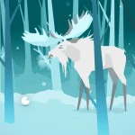 Journey of the Broken Circle