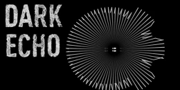 Скриншот Dark Echo #3
