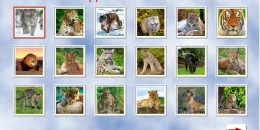 Скриншот Пазлы - Разные темы #2