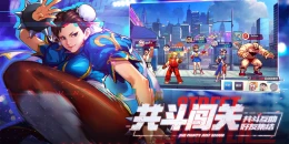 Скриншот Street Fighter Duel #2