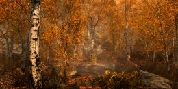 Скриншот The Elder Scrolls V: Skyrim #4