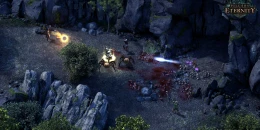 Скриншот Pillars of Eternity: Complete Edition #3