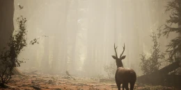 Скриншот Wilderness #1