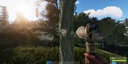 Скриншот Rust #3