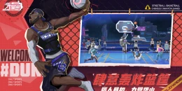 Скриншот Uminton Street Ball #3