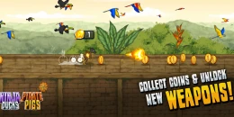 Скриншот Ninja Ducks vs. Pirate Pigs #1