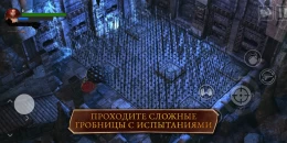 Скриншот Lara Croft: Guardian of Light #4