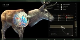 Скриншот Way of the Hunter #4