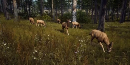 Скриншот Way of the Hunter #5