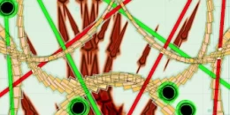 Скриншот Bullet Hell Monday #3