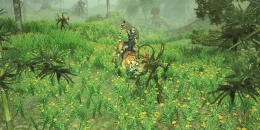 Скриншот Sacred 2 Remaster #5