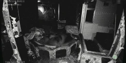 Скриншот Japan Stigmatized Property2 #1