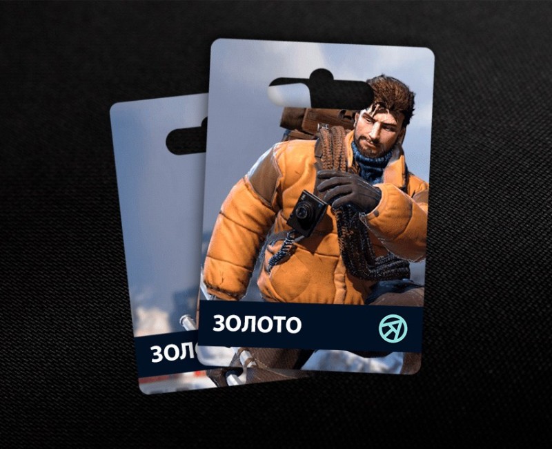 499 Золота в Frozen War: Endless Frost