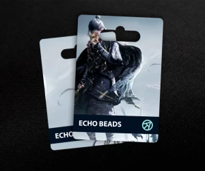 300 Echo Beads в Where Winds Meet (UID)
