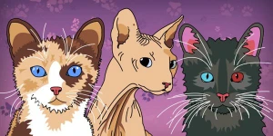 9 новинок недели: Death Squared, Purrfect Date и другие (Февраль 2018)