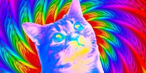 6 августа выйдет странная головоломка Puss! на мобильные устройства