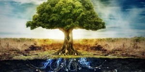 На iOS и Android вышла настольная игра The Tree: выращиваем дерево быстрее других