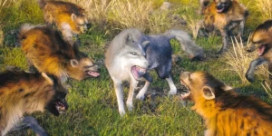 Игроки Wolf Games: The Wild Kingdom возглавят стаю волков