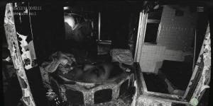 «Сможешь дожить до утра?»: Japan Stigmatized Property 2 вышла на PC и смартфонах